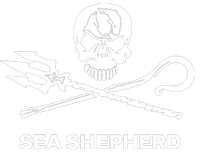 Print on Demand Sea Shepherd Store Italia